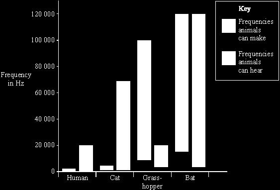 (b) The bar chart shows the frequencies of sound which different animals can