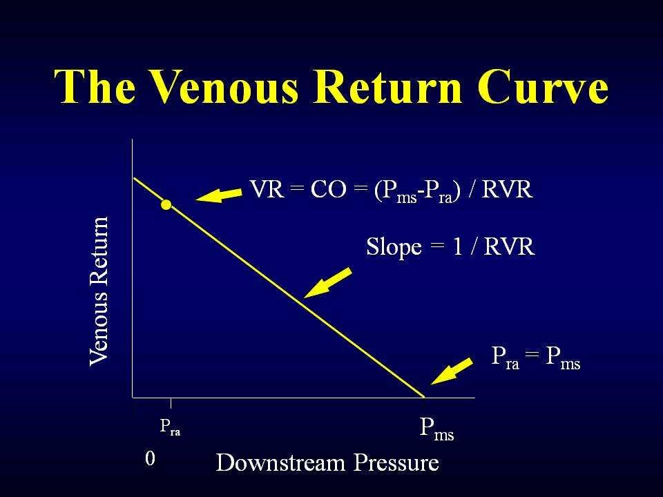 Stroke Volume Variation During Mechanical Ventilation The Heart is a