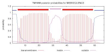 rmut4 probability rmut3 probability rapol3 WT probability TMHMM ph 5.5 ph 7.5 T. b. brucei T. b. gambiense transmembrane inside outside 1.6.