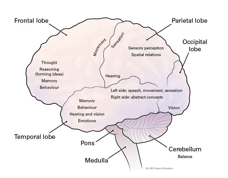 Where are your brain metastases located?