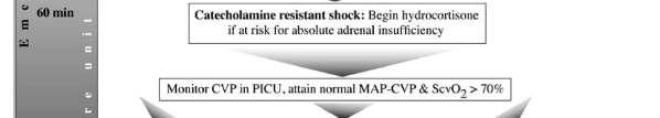 Catecholamine Resistant Shock In practice we often add vasopressin to Dopa + Epi Steroids