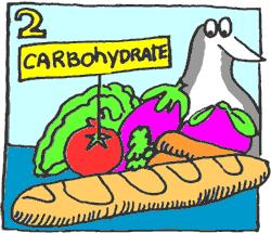 CARBOHYDRATES Carbohydrates are the most important source of energy (we need in the largest amounts).