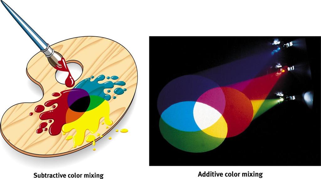 Color Vision: Step 1 Young-Helmholtz trichromatic (3-color theory): Retina has 3 types of color receptors: red, green, blue This means that we have specific cones that are receptive to the