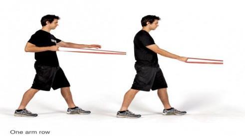 One Arm Rotary Band Row: Keeping the elbow close in towards the body pull the band backwards until you feel resistance.