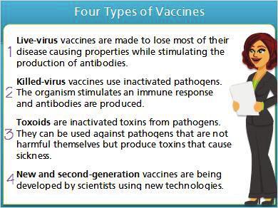 Notes: There are four types of vaccines: 1.