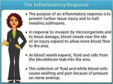 Notes: The Inflammatory Response prevents further tissue injury and more blood flow to an area.