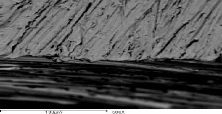 coronal and lateral faces (SEM: 250X and 500X).