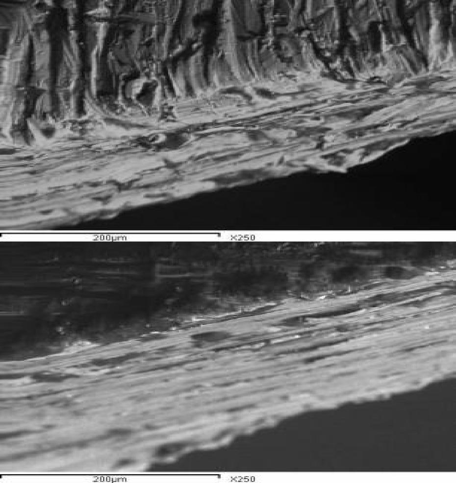 Figure 5: Sharpening using power driven sharpener showed ill-defined cutting angle and bevel formation between the faces (SEM: 250X).