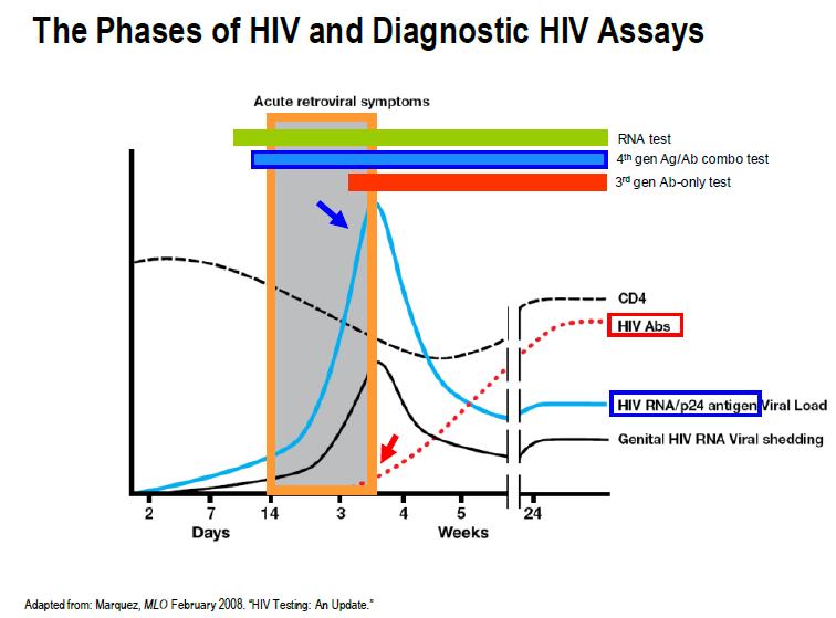 HIV infection can be divided into three stages: acute infection, clinical latency, and acquired immunodeficiency syndrome (AIDS).