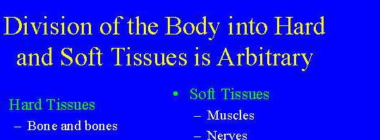 Growth of The Soft Tissues