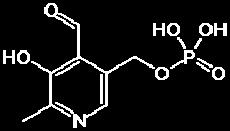 Vitamin B 6 ATP: High energy bonds inherent chemistry Electrostatic