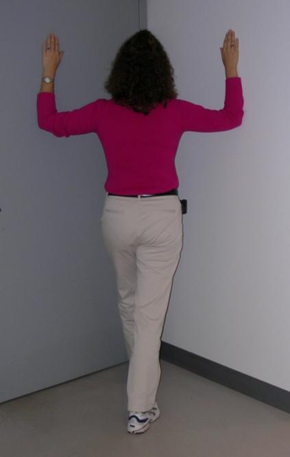 into a lunge, forearms/hands on wall,