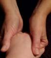 tip of finger Pull down from knuckle to tip Repeat each finger Turn hand over,