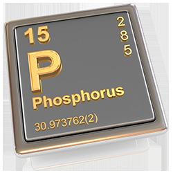 Phosphorus Found in breads, cereals, lima beans, meat, poultry, fish, meat alternates, milk, cheese,