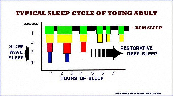 Sleep Reversible behavioral state of