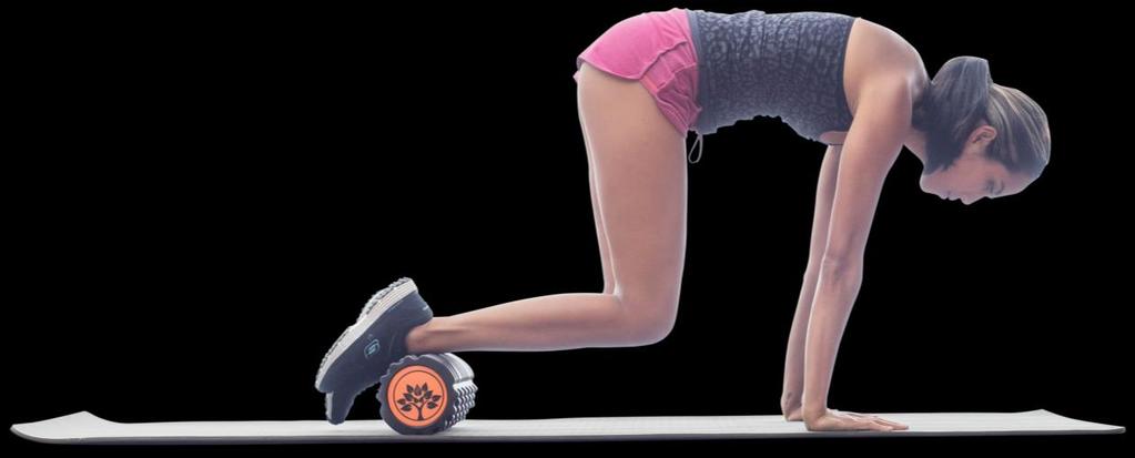 PLANK TUCKS From a kneeling position with ankles on the roller, bring your hands to the floor in a plank