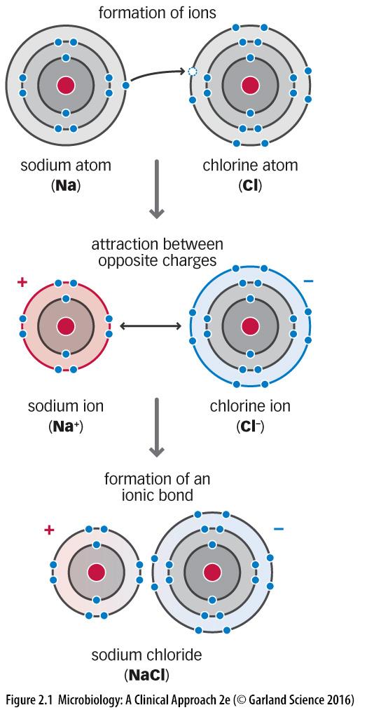 IONIC BONDS Ionic bonds occur when one atom donates an electron and one atom receives an electron The best example of an ionic bond is sodium chloride: Sodium donates an electron Chloride receives an