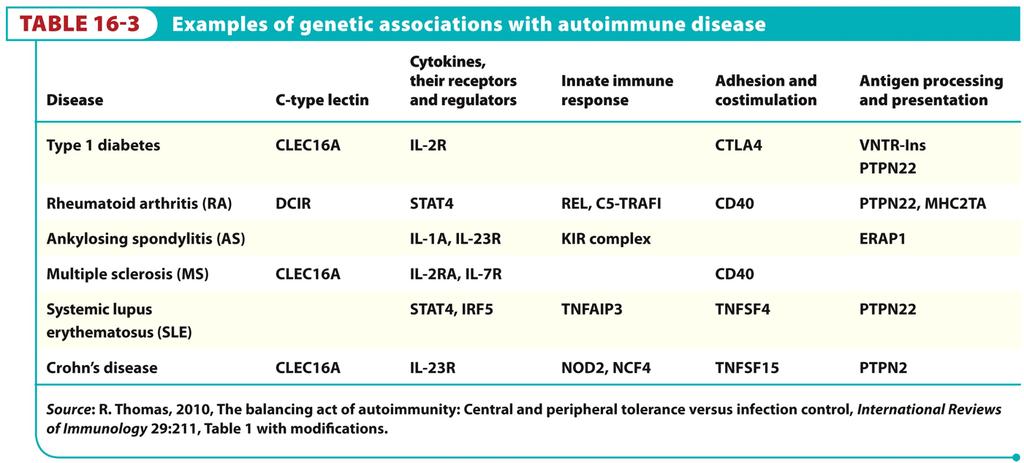 Do we know what genetic differences lead to predisposition to autoimmune disease?