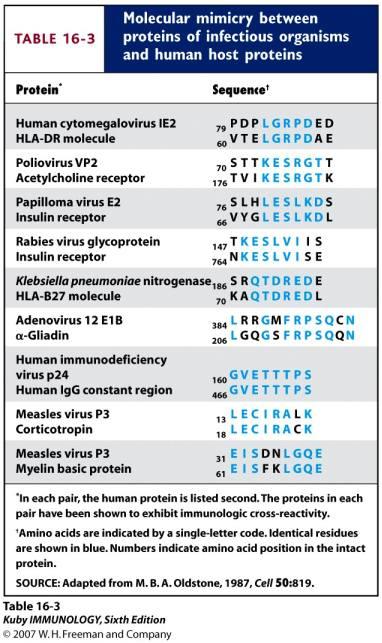 Examples of Bacterial and Viral Proteins that may Trigger Autoimmunity due to Molecular Mimicry Molecular Mimicry = sequence