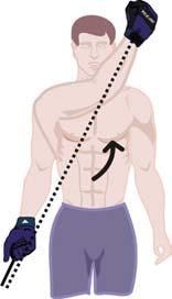 Posterior Shoulder Impingement: Symptoms: Pain in posterior (back) of shoulder(s) when pushing or lifting objects.
