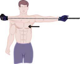 General Upper Body Strengthening: Symptoms: Weakness of the upper body, including the arms, chest and back. Solution: Strengthen complete upper body.