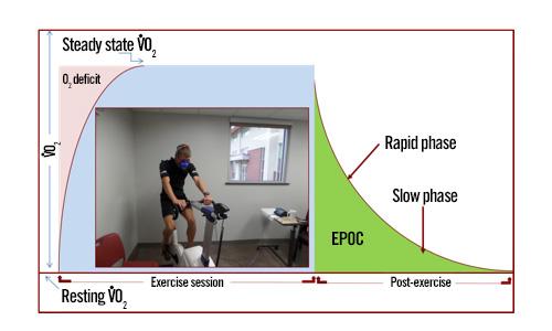 The phenomenon of EPOC refers to a post exercise elevation in metabolism and consists of a phase of excess oxygen consumption (VO 2) that persists into the recovery period.