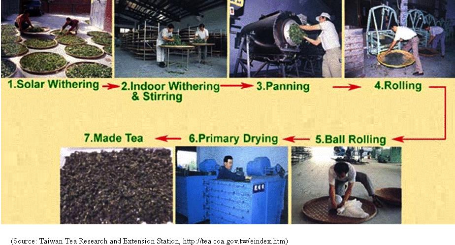 Page 2 of 11 Figure 1 The manufacturing process of semi-fermented tea. (Source: Taiwan Tea Research and Extension Station) Background Tea is a popular beverage all over the world.