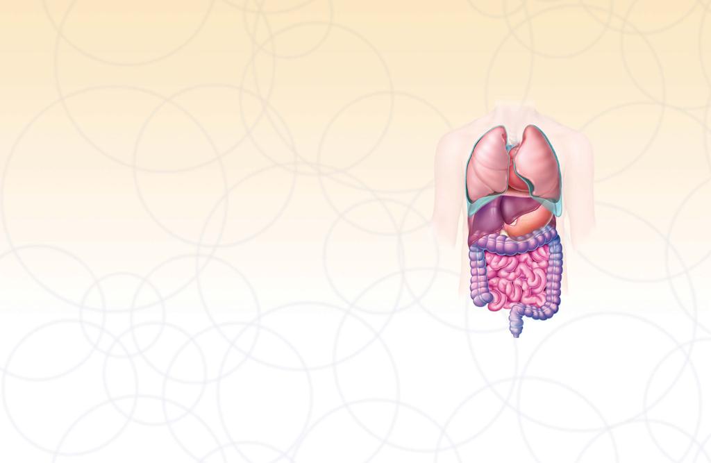 What is metastatic colorectal cancer (mcrc)? Understanding your digestive system As you learn about mcrc, it s helpful to know what your digestive system does and how the colon and rectum work.