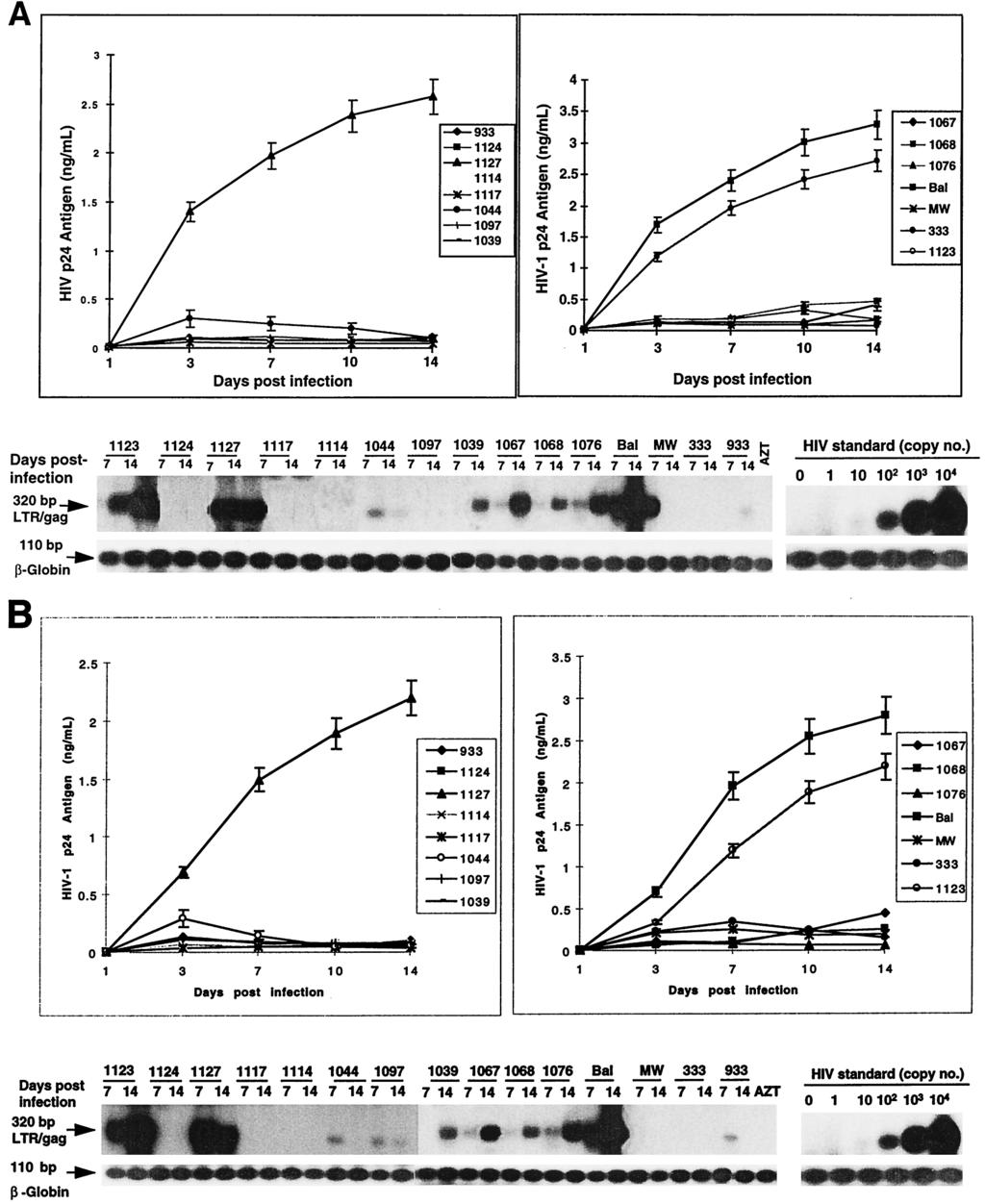 VOL. 73, 1999 HOST GENETICS AND HIV REPLICATION IN TWINS 4869 FIG. 1. Phase I: ID twin pairs.
