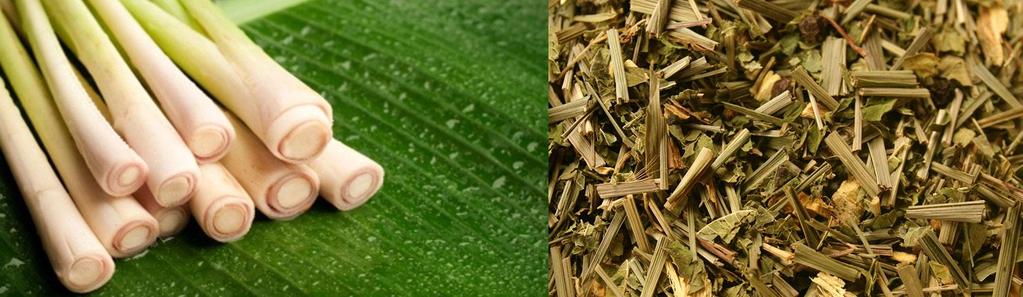 Health Benefits of Lemongrass Lemongrass, also called fever grass, is a perennial plant with thin, long leaves that is indigenous to many Asian countries.