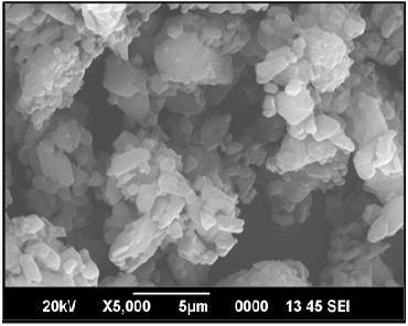This could be therefore, indicate that RVS Ca particle size has been reduced, which also accelerates solubility and dissolution Figure 9: SEM image of Rosuvastatin Calcium From the Figure 9, it is