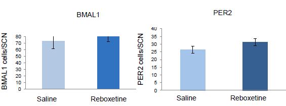 Figure 37: Bar charts illustrating the effects of reboxetine treatment at CT6 on