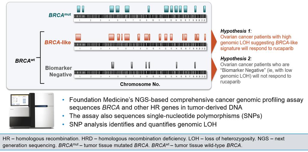 genome wide LOH that can be measured by comprehensive