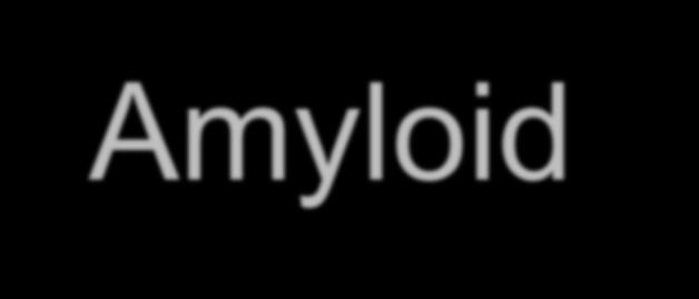 Amyloid