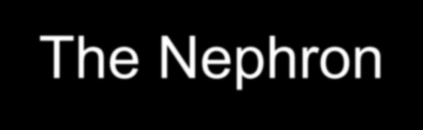 The Nephron http://www.