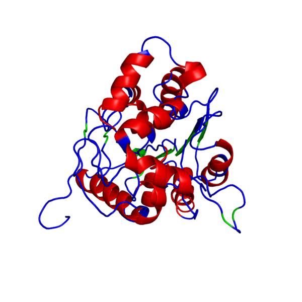 Enzyme Shape Enzymes are 3 D globular in shape. Amino acids are stuck together and then the long chain is folded. Enzymes only work if they are folded in the correct way.
