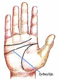 182 Sydney Line: Head line goes completely across palm. Normal arrangement: Heart, system (the line in palmistry that corresponds to the line of intuition.