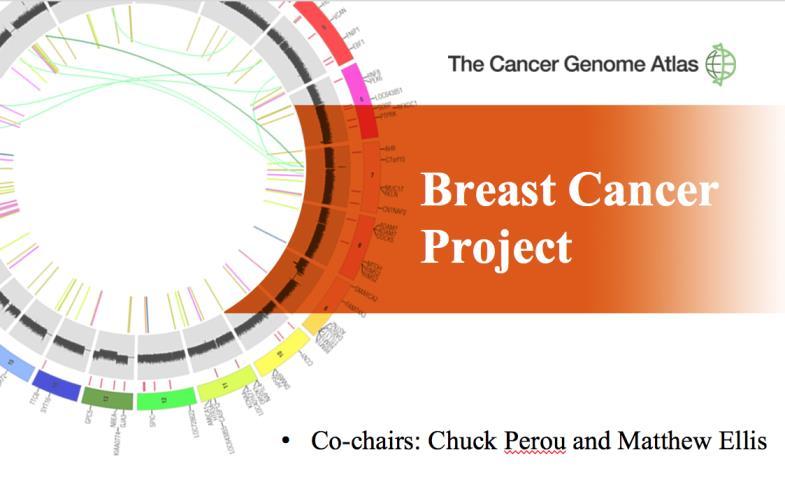 Comprehensive molecular portraits of human breast tumors The