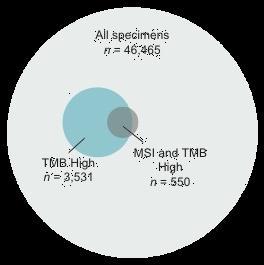 MSI-High specimens are a subset of high TMB