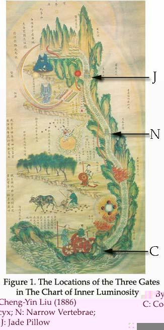 Vertebrae (, Jia Ji Guan), and the upper gate/jade Pillow (, Yu Zhen Guan), as shown in Figure 1.