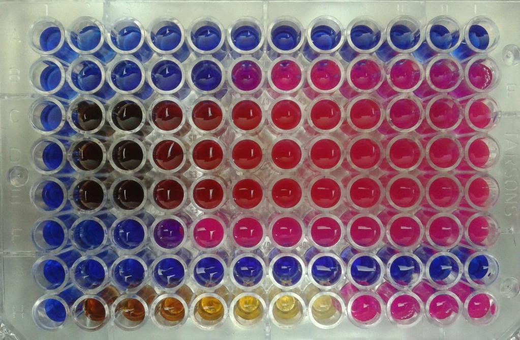 Result Testing of Bael aqueous extract on Escherichia coli OD 550 = 0.