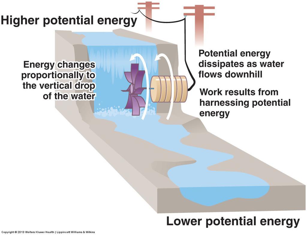 2. Bioenergetics & Conservation of Energy Recall Potential Energy and Kinetic Energy Potential energy (PE) refers to energy associated with a substance s structure or position.