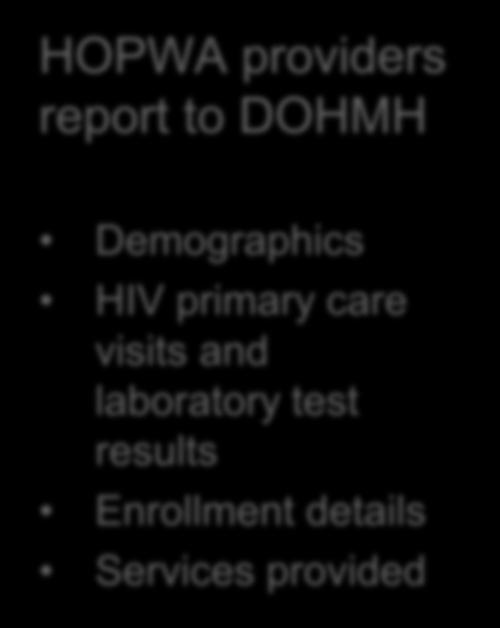 Program Reporting and Quality Improvement HOPWA providers report to DOHMH Demographics