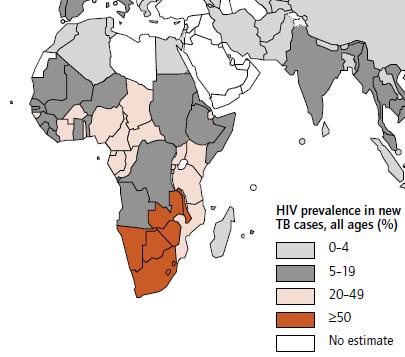 High TB HIV Co-infection in SS Africa HIV Prevalence in All TB cases (WHO 2007) Southern Africa: > 50% Eastern Africa: 20 49% Central Africa: 5 19% West Africa: 5 49% SS Africa: 43% (UNAIDS