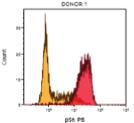 Samples were stained with CD14- PC7 and CD45-Krome Orange, and with either perk + pp38 or pakt + ps6. Monocytes were gated using CD45 and CD14.