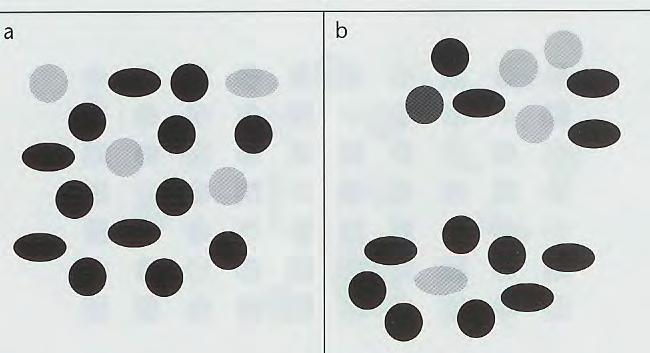 Spatial conjunction To find the gray ellipses, either the gray things or the elliptical things must be searched. However, the search can be speeded up by spatial grouping.