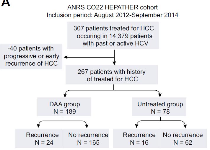 Recurrence of HCC after DAA treatment ANRS CO22 HEPATHER cohort 13% 21% There is no increased risk of HCC recurrence after