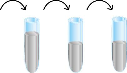 8 serial dilutions as follows: Dispense 80 µl of Diluent # 6 into each vial from standard 6 to 0. Add 100 µl of standard 7 (8 ng/ml) to 80 µl of Diluent # 6, mix gently and repeat the 1/1.