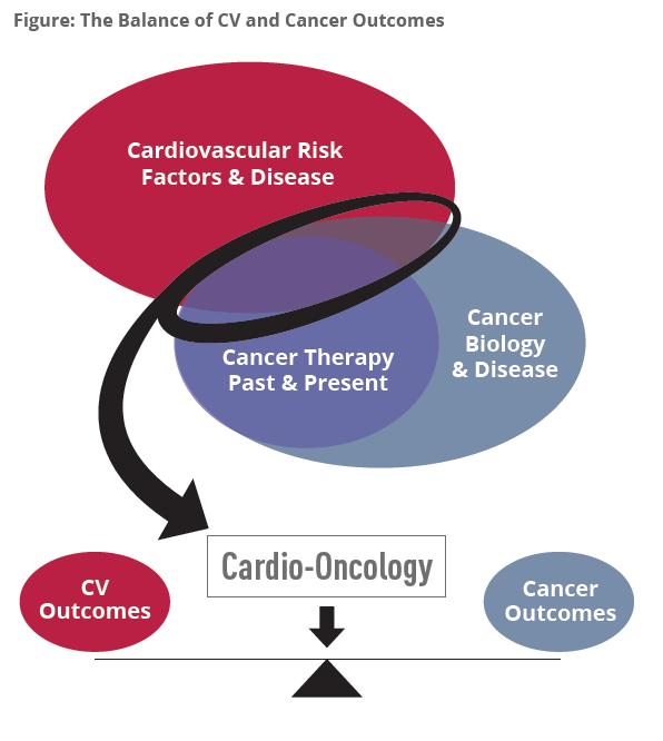 Trials need to include careful assessment of both cancer and CV measures Short and long-term Understand the clinical impact of changes in sensitive measures of cardiac function Cancer treatments are