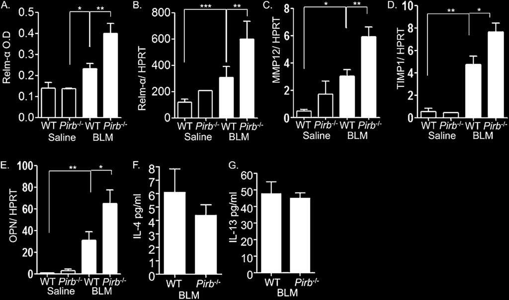 6 AMERICAN JOURNAL OF RESPIRATORY CELL AND MOLECULAR BIOLOGY VOL 48 2013 Figure 4. Increased profibrogenic mediators in bleomycin (BLM) treated Pirb 2/2 mice.